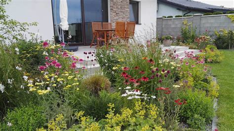 Kvetinová záhrada plná ružových kvetov