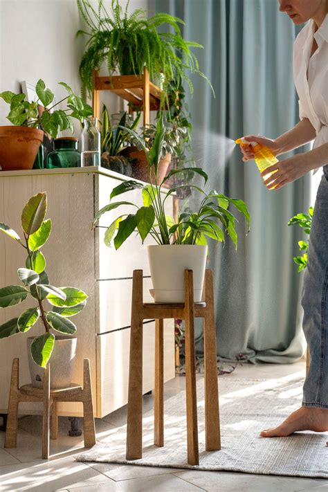 Ukážka rastlín s podložkami na rôznych povrchoch