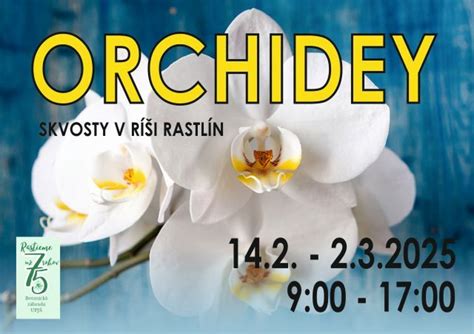 delenie trsu orchideí