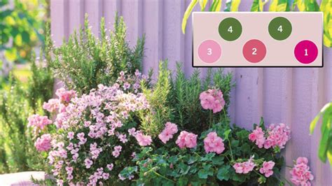 Infografika o správnom zalievaní balkónových kvetov