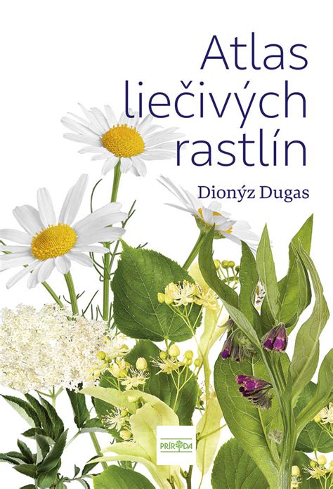 Rozmanitosť modrých rastlín v prírode