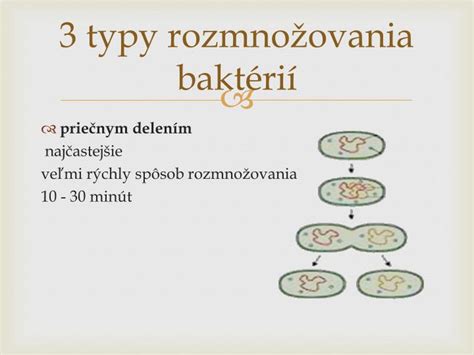 Infografika znázorňujúca typy baktérií a ich výskyt v pokrmoch