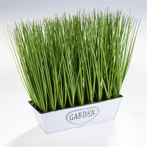 Okrasná tráva v kvetináči na balkóne