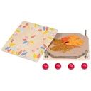 Detail kvetov a listov rozchodníka pochybného 'Album'