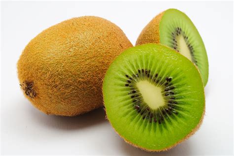 Schéma správnej výsadby kiwi s vyznačením opory a pôdnych podmienok