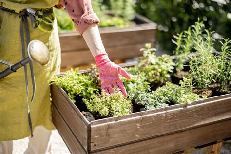 Rôzne typy kvetináčov v záhrade
