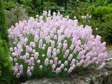 Symbolické zobrazenie presádzania kvetu z jari do jesene