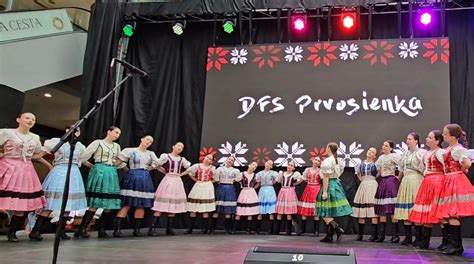 Zakladateľ DFS Prvosienka