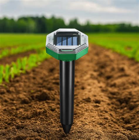 ilustrácia škodcov maku