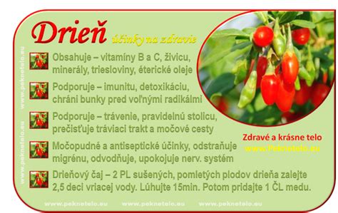 Zrelé plody drieňa obyčajného