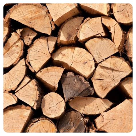 Tvrdé drevo drieňa