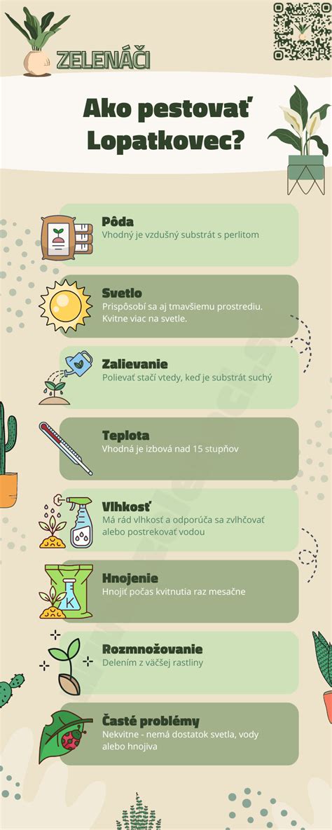 Infografika: Najlepšie rastliny na čistenie vzduchu