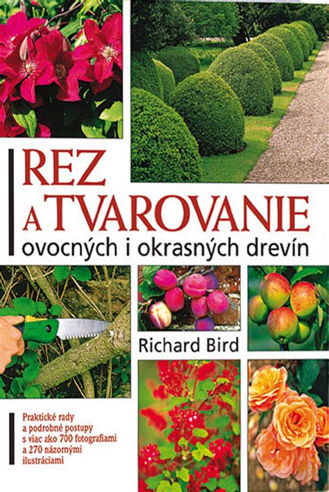 Kalendár strihania okrasných drevín