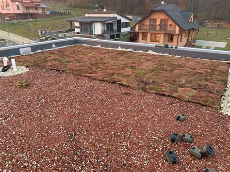 Zelená strecha vysadená rozchodníkmi