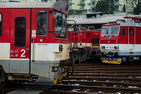 Ilustračná fotografia tymianu