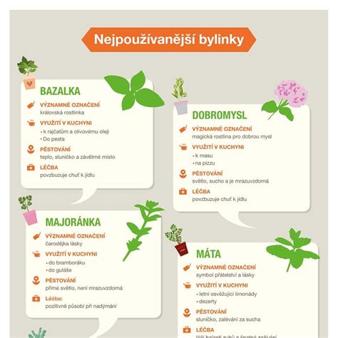 Infografika: Bezpečné a nebezpečné bylinky v tehotenstve
