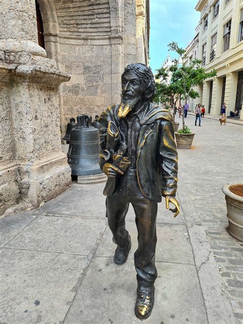 Muž s kvetom v klope saka