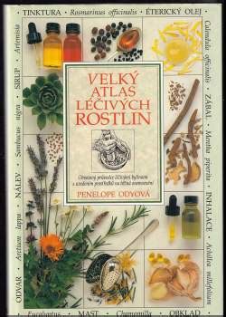 Ilustrácia s tradičnými liečivými rastlinami
