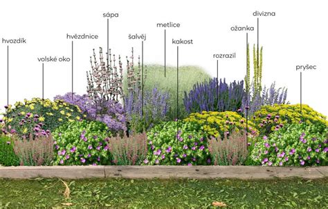 Záhon s rôznymi farebnými kvetmi vrátane Katarantusu