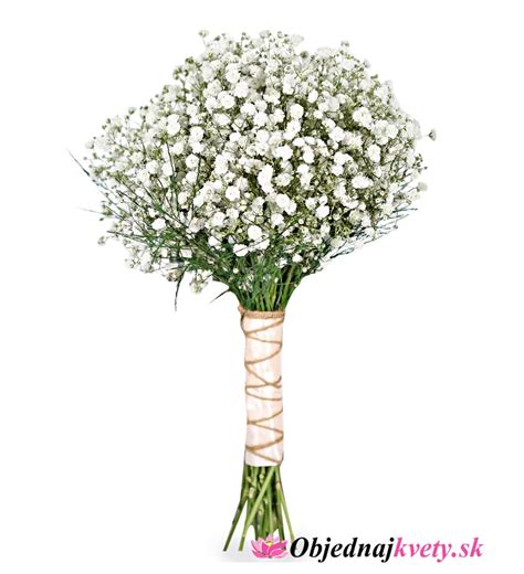 Kytica z bielej gypsomilky