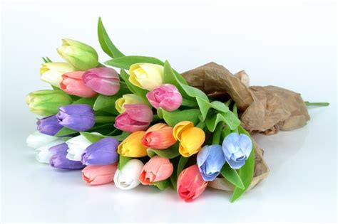 Krásne tulipány rôznych farieb