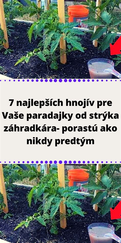 Prírodné zdroje hnojív pre rastliny