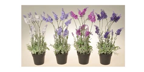 Rôzne druhy a farby kvetov budleje