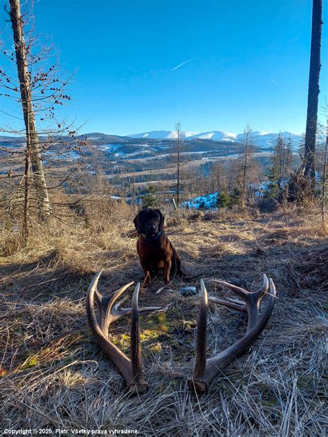 Archívna fotografia dielne Dadoos