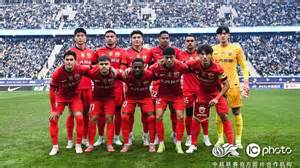 Detail čínskej olejomaľby kvetov