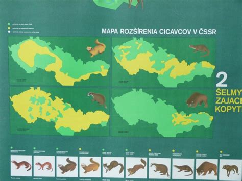 Mapa rozšírenia krtka obyčajného