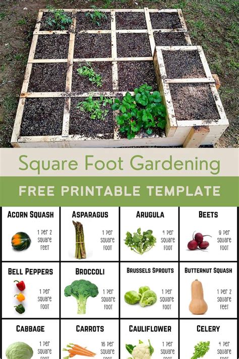 Grafické znázornenie Square Foot Gardening
