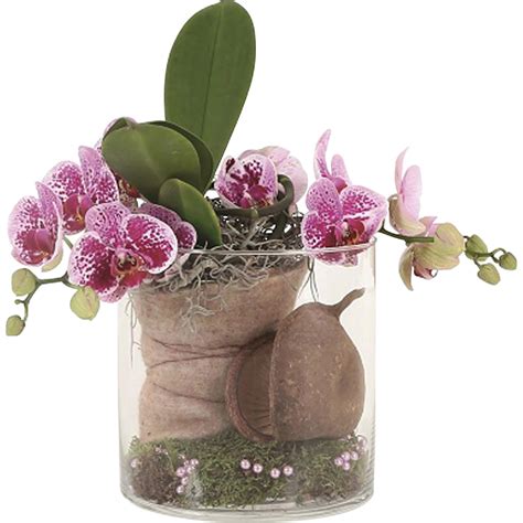 Orchidea v sklenenej váze ako dekorácia interiéru