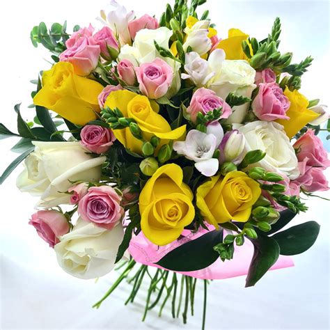 Kytica ruží plných pukov