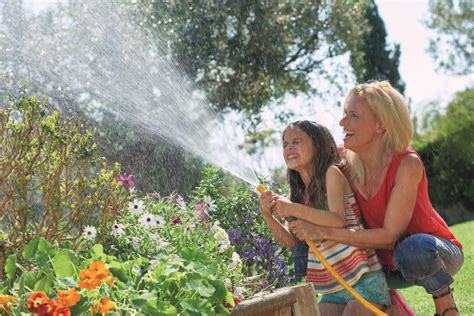 Zalievanie antúrie mäkkou vodou