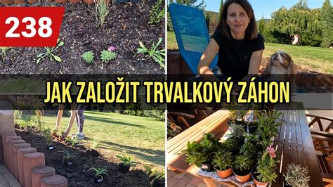 Schéma výsadby odrezku zázvoru