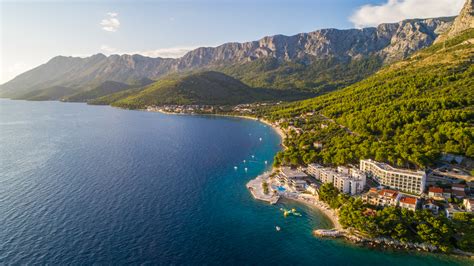 Ilustrácia morenia cesnakových strúčikov