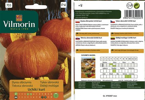 Ilustrácia semien tekvice