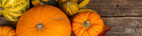 Rôzne druhy okrasných tekvíc pripravené na dekoráciu