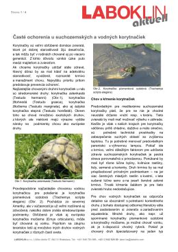 párenie vodných korytnačiek