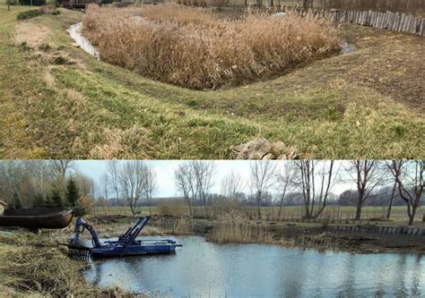 Údržba jazierka s vodnými rastlinami