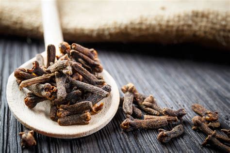 Klinček na zmiernenie bolesti zubov