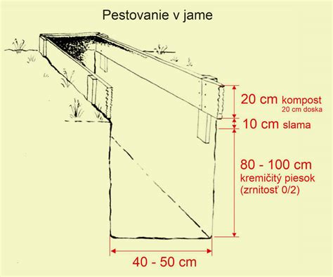 Schéma prípravy debny na pestovanie Svetelného koreňa
