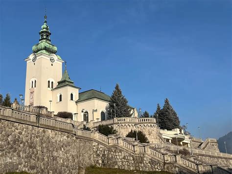 heraldická ruža na štíte mesta Ružomberok