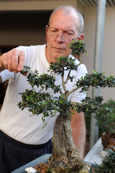 Nástroje na tvarovanie bonsajov