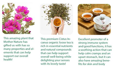 Porovnanie obsahov polyfenolov v Cistus incanus, zelenom čaji a červenom víne