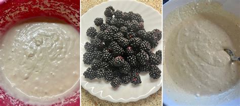 príprava zelených odrezkov černíc