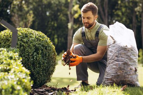 záhradník strihá hortenziu