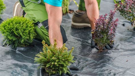 rozpadajúca sa netkaná textília v záhone