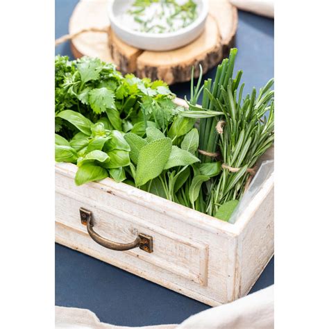 Zmes čerstvých byliniek na balkóne