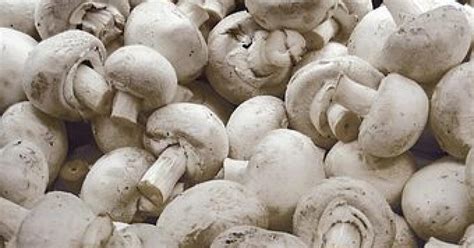 Šampiňóny v pestovateľskej debničke